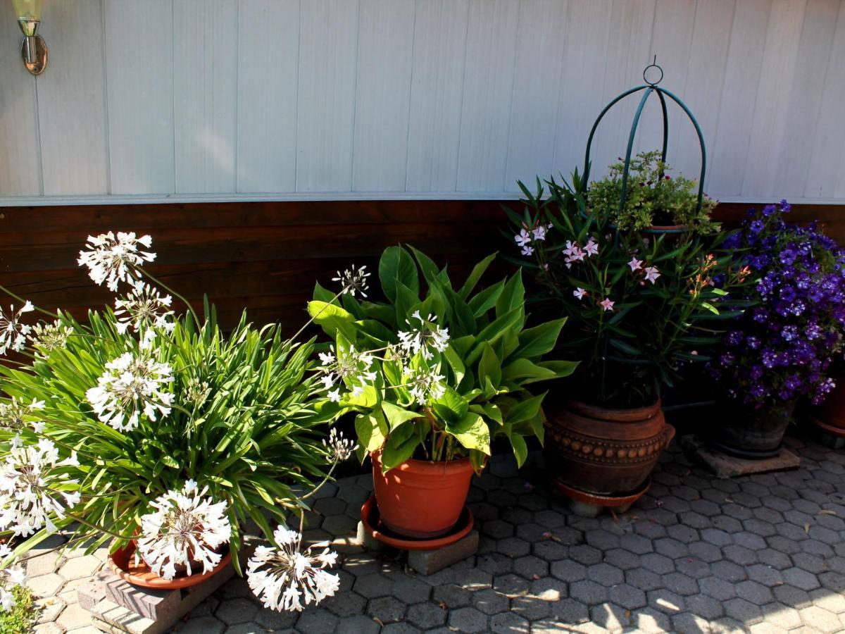 Pretty Bungalow In Neubukow With Garden, Roof エクステリア 写真